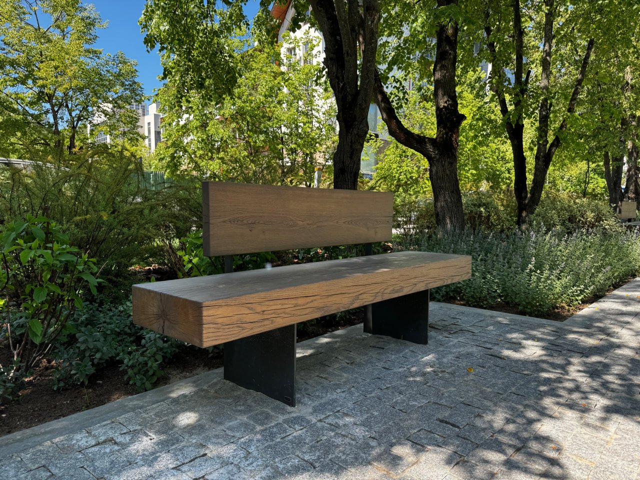 Photo 2025 08 12 15 59 46