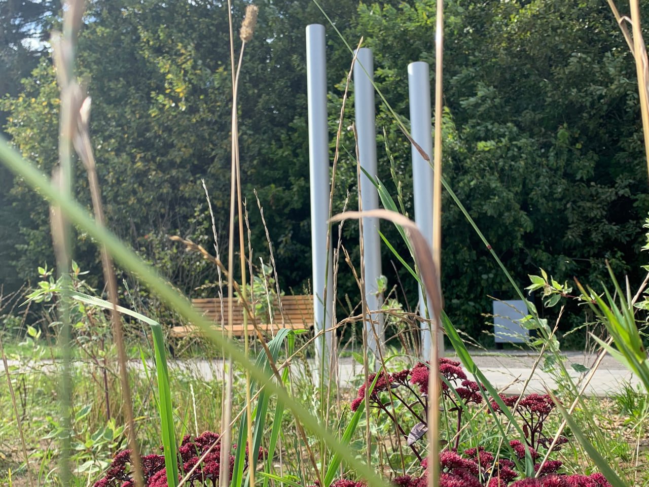 Photo 2025 08 11 14 55 27